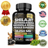 Shilajit Kapseln 8 in 1